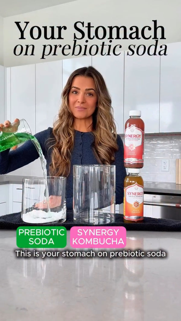 Synergy Kombucha